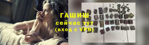 гидропоника Гусиноозёрск