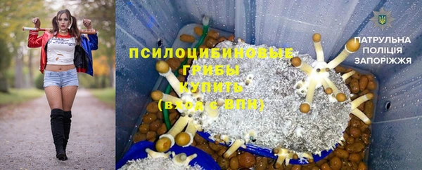 МДПВ Верхний Тагил