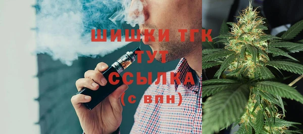 крисы Гусь-Хрустальный