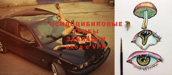 крисы Гусь-Хрустальный