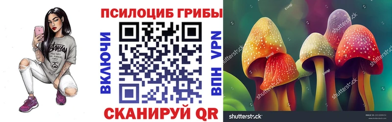 Купить закладки  Мариинск  Псилоцибиновые грибы Psilocybine cubensis 